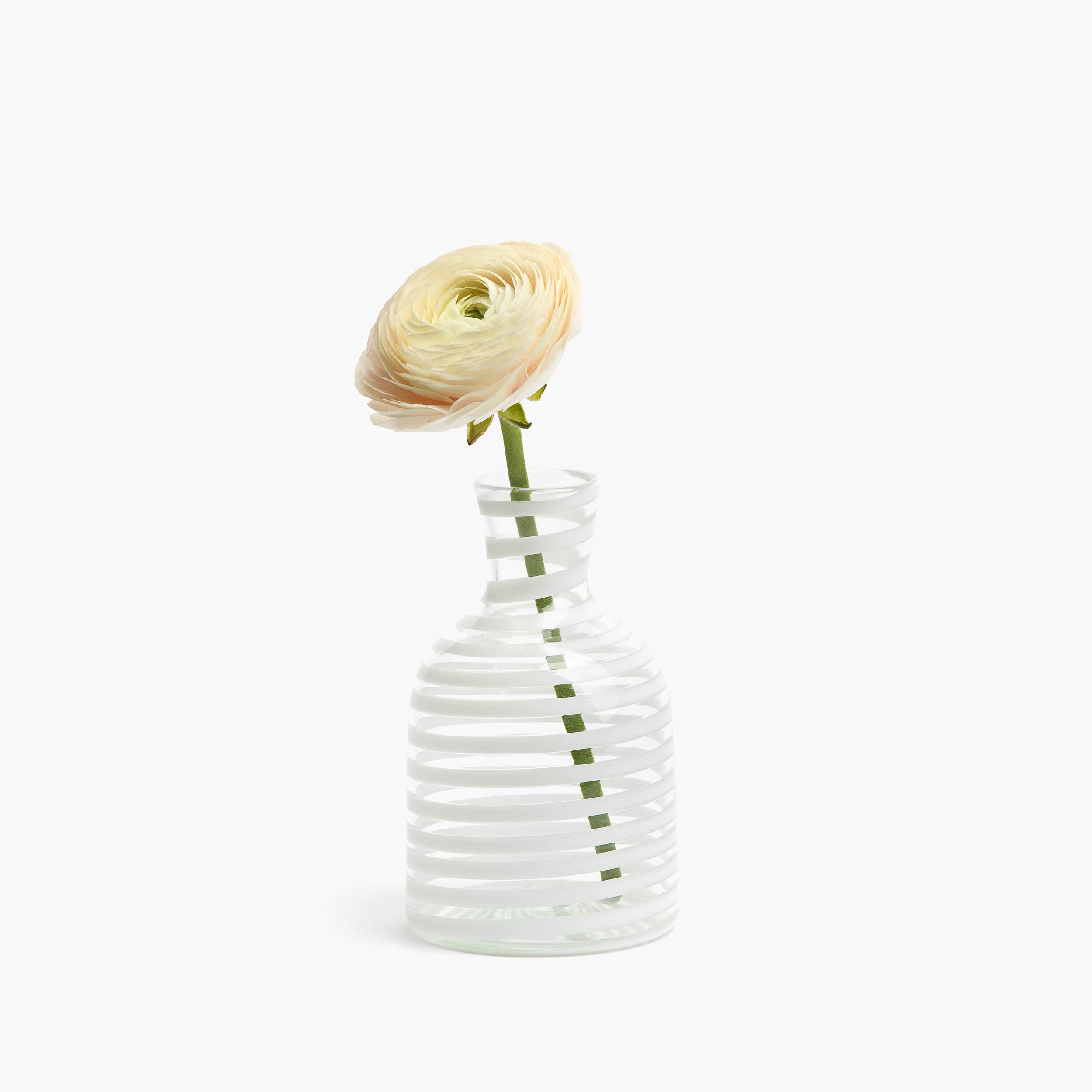 YALI A NASTRO BOTTIGLIA VASE WHITE